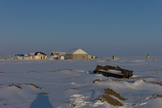 The carpet with-57.jpg