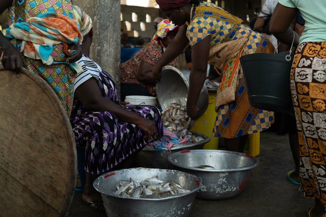 The fish markets - Ghana-9.jpg