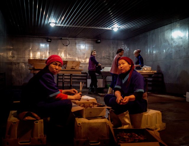 Fishing factory-59-bewerkt.jpg