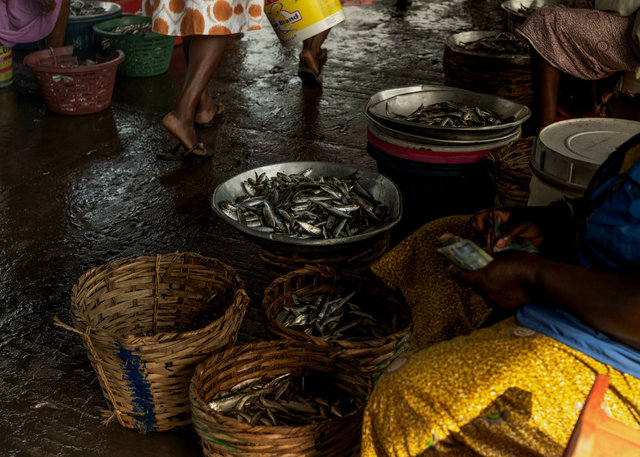 The fish markets - Ghana-95.jpg