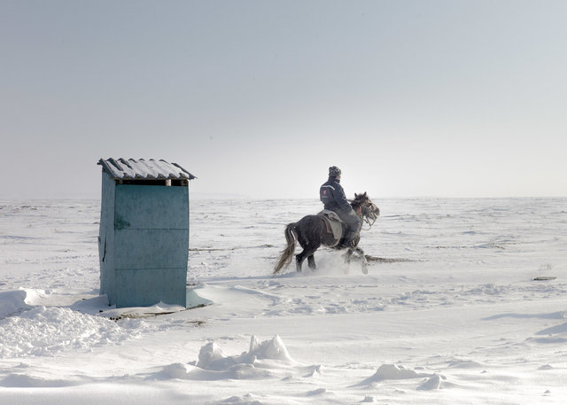 The horse-1.jpg