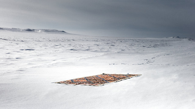 The carpet in the landscape-17-bewerkt.jpg
