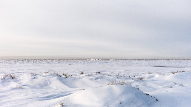 Aral Landscapes-2-bewerkt.jpg