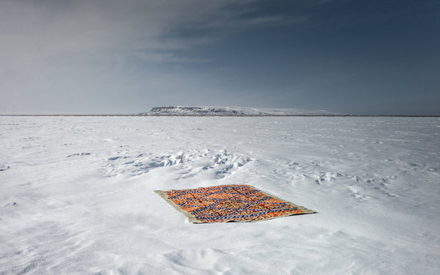 The carpet in the landscape-66.jpg