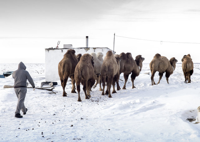 Tastubek life I-146.jpg