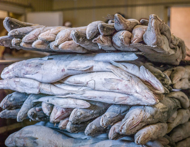 GS16 LE-Aralsk-fishing factory-12.jpg