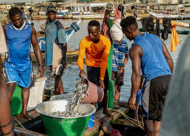 The fish markets - Ghana-28.jpg