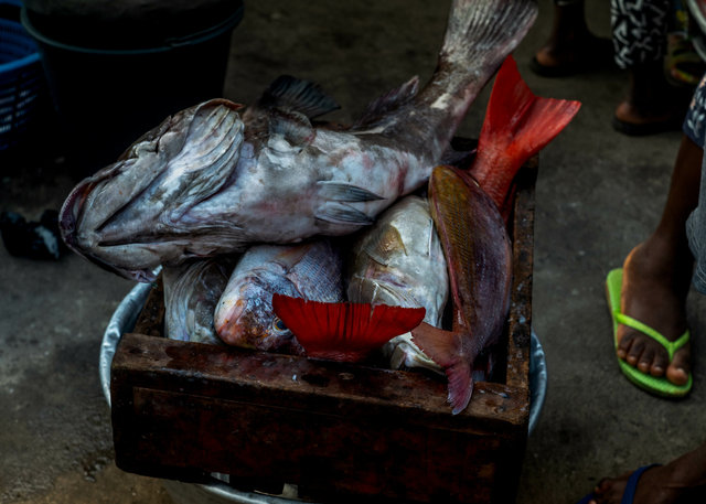 The fish markets - Ghana-71.jpg