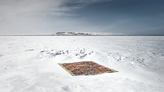 The carpet in the landscape-66.jpg