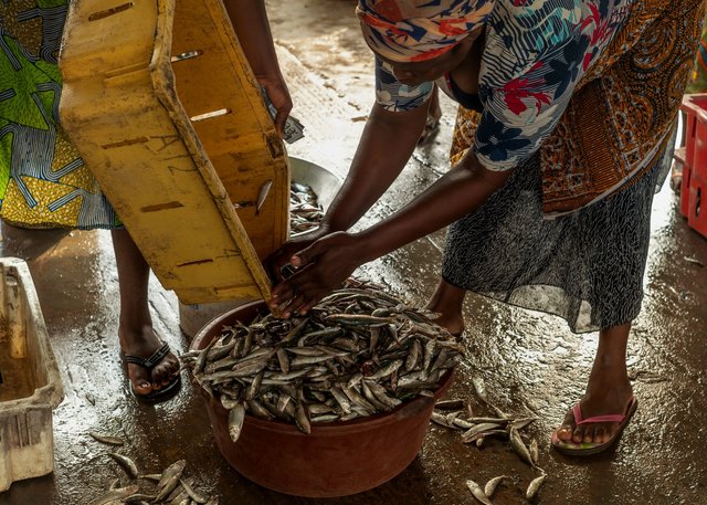 The fish markets - Ghana-105.jpg