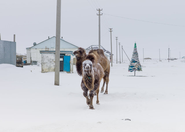 Snowing Tastubek-45.jpg