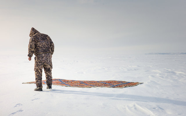 The carpet in the landscape-95.jpg