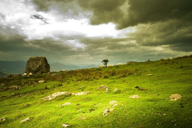 Land of lost content-54.jpg