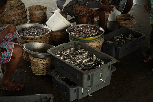 The fish markets - Ghana-117.jpg