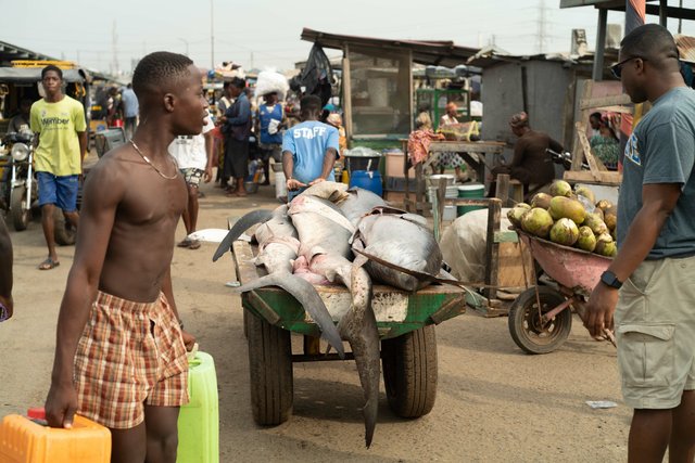 The fish markets - Ghana-90.jpg