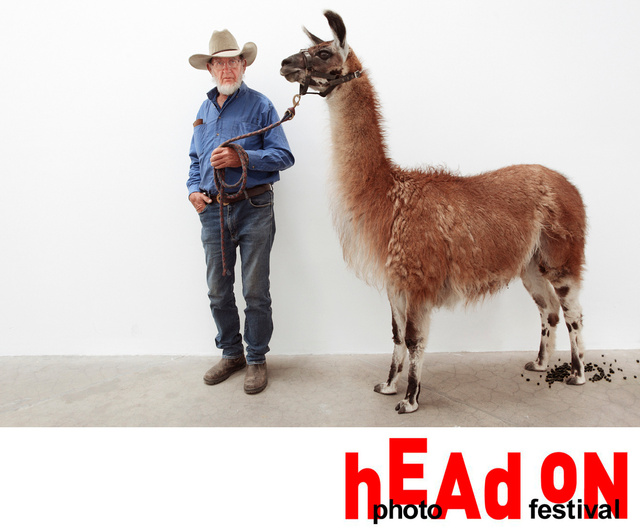 head on.jpg