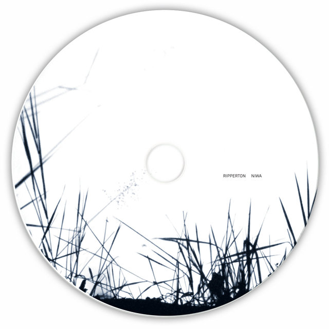 CD variation 1