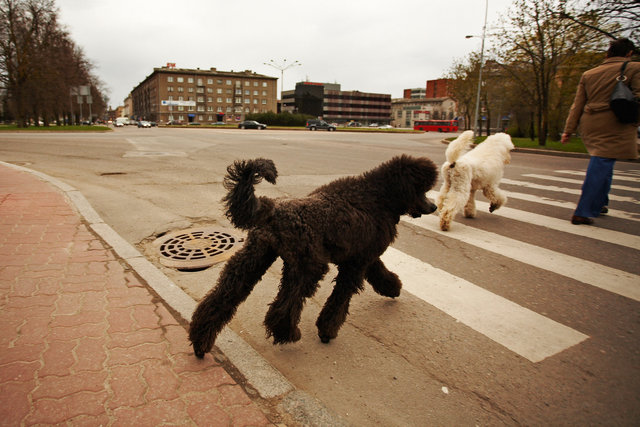 In the east of Europe- Estonia