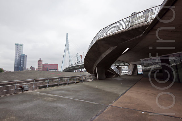 _MG_4569.jpg