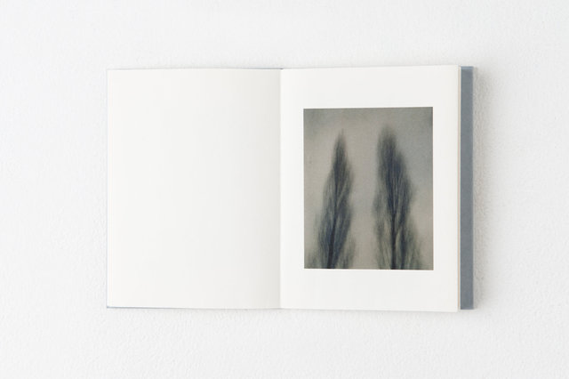 encounters, 33 pages, accordion book. Published by Datz Press in 2015.