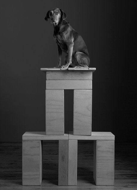 Pyr150bw.jpg