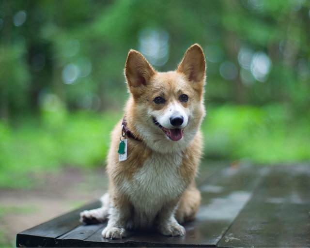 max1004140.jpg