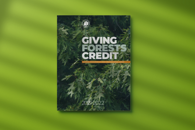 NASF 2022 Annual Report