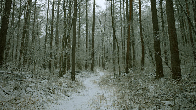 L1005421 1.jpg