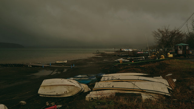 L1008011.jpg