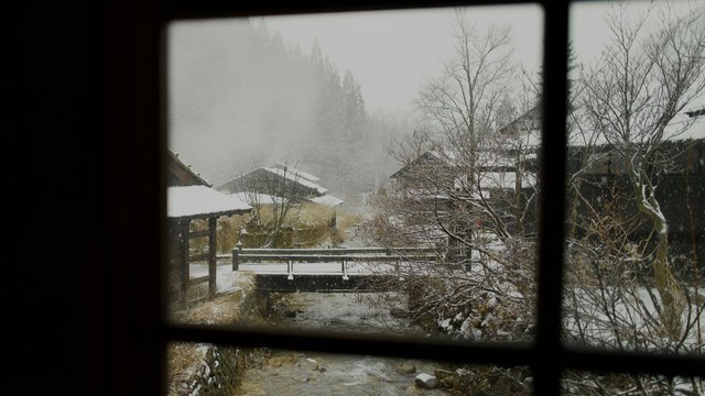 DO01003949.jpg