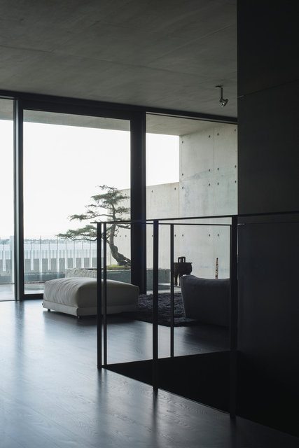 Architects' Houses Australia