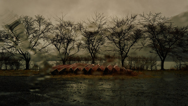 L1008030.jpg