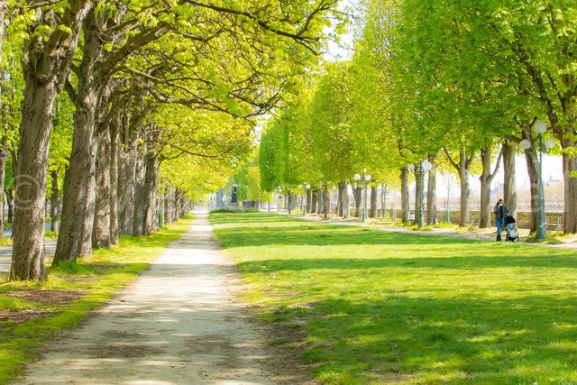 C19, Paris Surreal - all contents © veronique fel