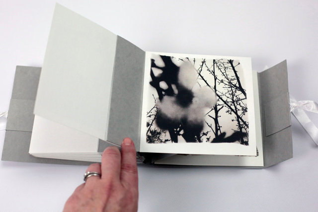 SEL-Bucolique Artist Book-07.jpg