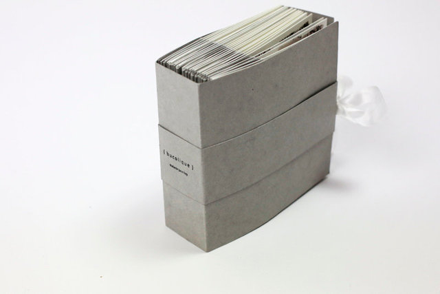 SEL-Bucolique Artist Book-02.jpg