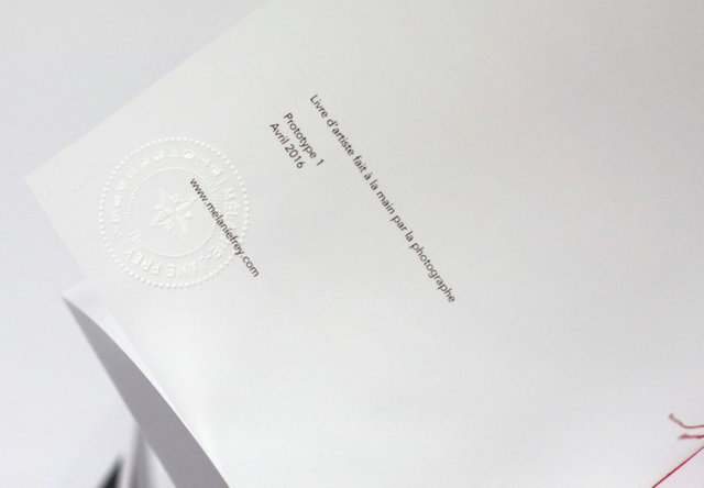 SEL-American DIary Artist Book-07.jpg