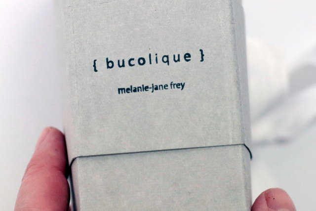 SEL-Bucolique Artist Book-08.jpg