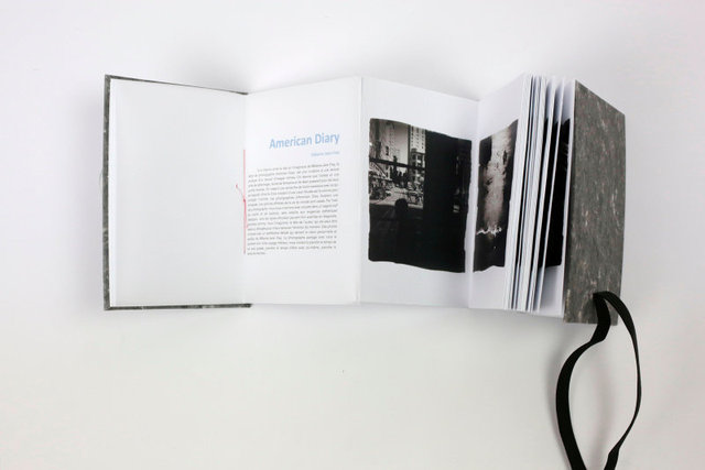 SEL-American DIary Artist Book-06.jpg