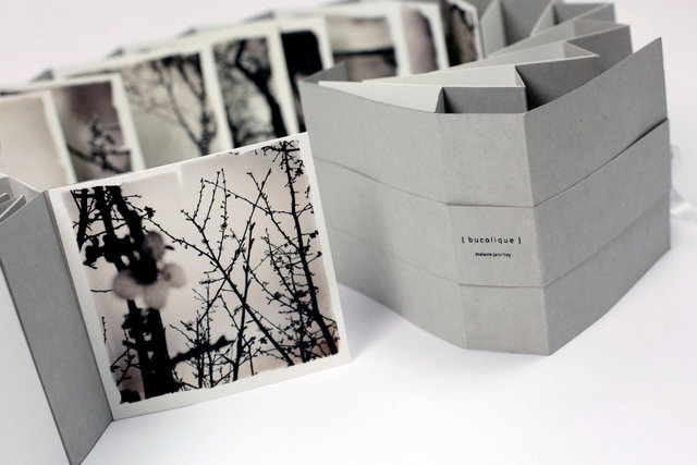 SEL-Bucolique Artist Book-01.jpg