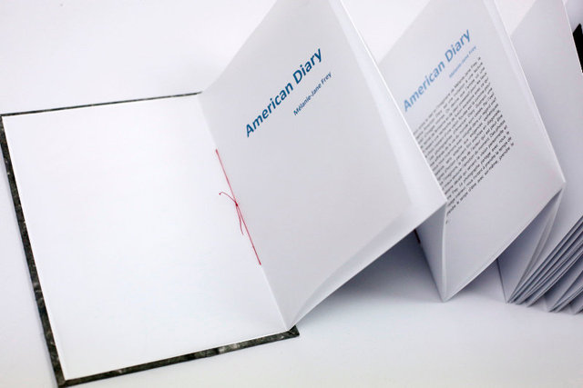 SEL-American DIary Artist Book-10.jpg