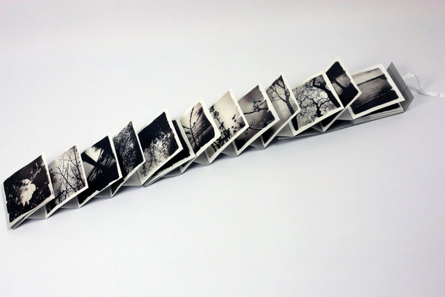 SEL-Bucolique Artist Book-11.jpg