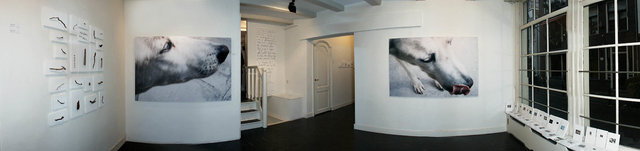 Florica Kyriacopoulos, gallery installation view
