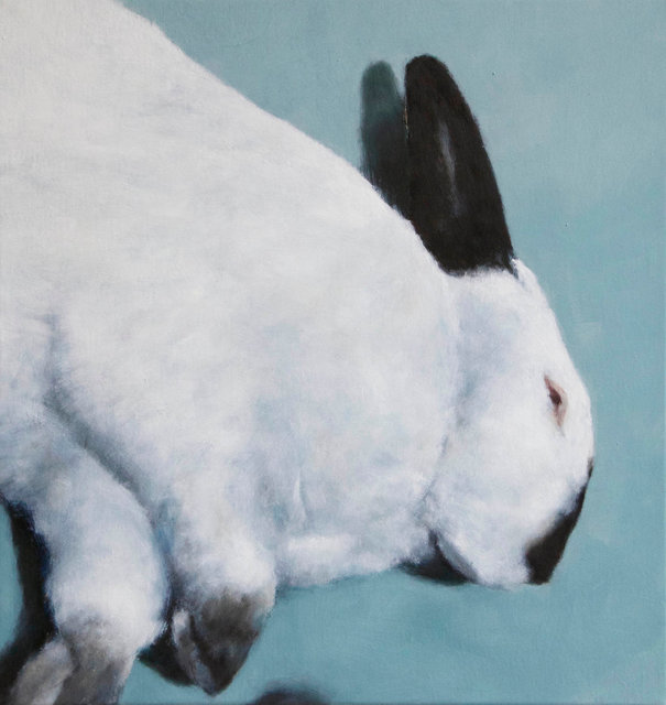 Per Teljer, Bunny, 2016