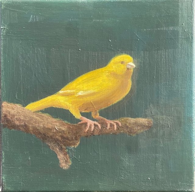 Jans Muskee, kanariepietje / canary in a colamine, 2025