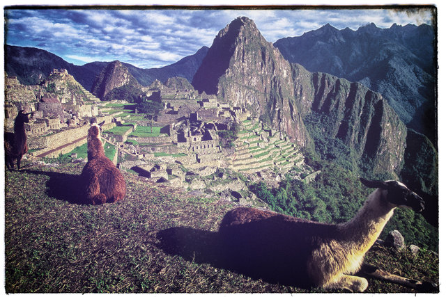 ANALOG_MACHU copy.jpg