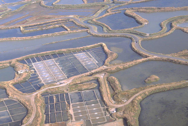 Salt - 1995. Salt marsh, Guérande.