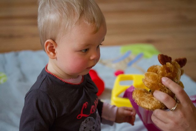 Fenna 22dec12-32.jpg