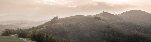 parma