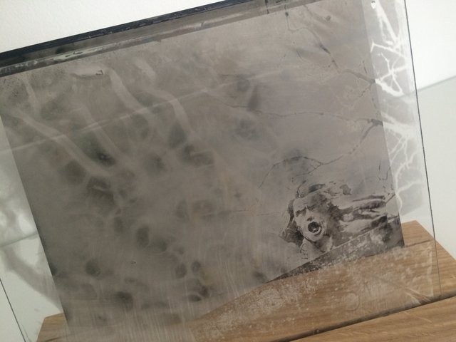 Installation-VERDUN IN MEMORIAM-collodion-014.JPG