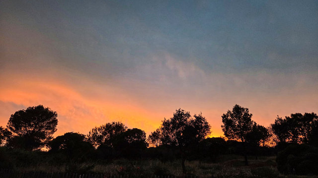 20250704_213916.jpg